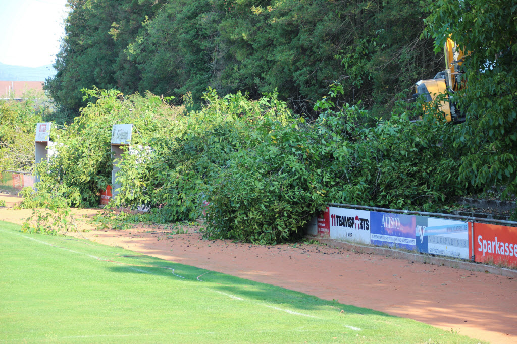 Fotoblog – Vereinsarchiv des SV Haslach