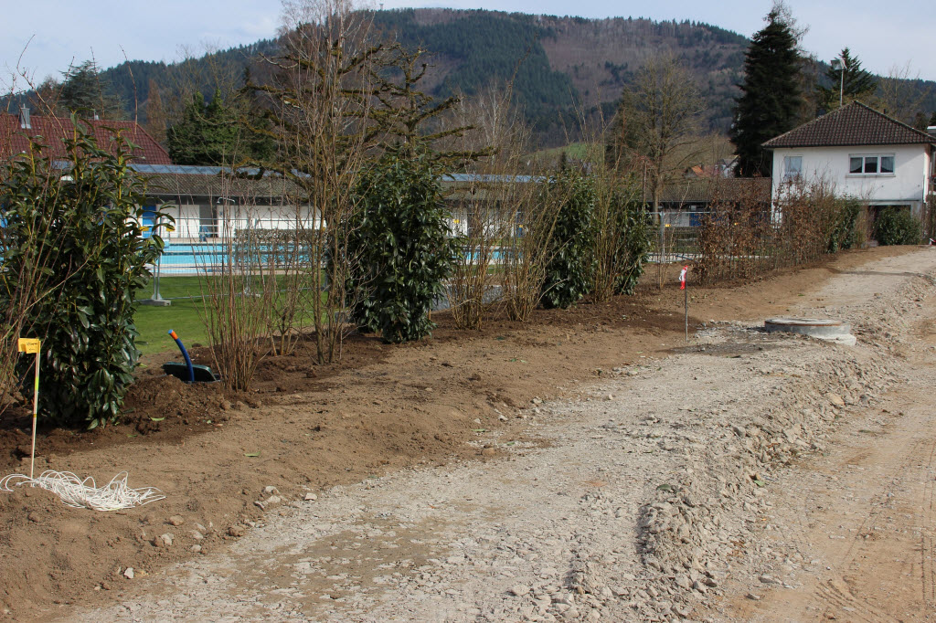 Fotoblog – Vereinsarchiv des SV Haslach