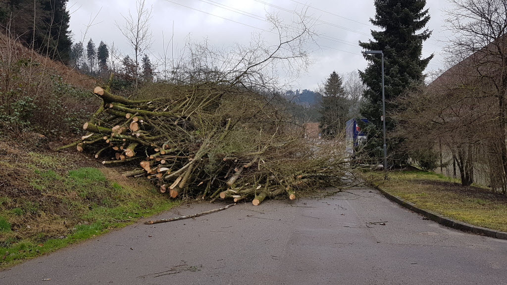 Fotoblog – Vereinsarchiv des SV Haslach