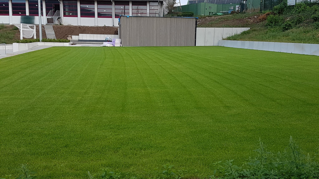 Fotoblog – Vereinsarchiv des SV Haslach