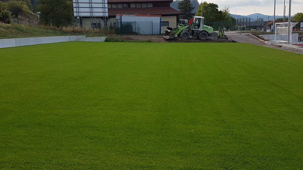 Fotoblog – Vereinsarchiv des SV Haslach