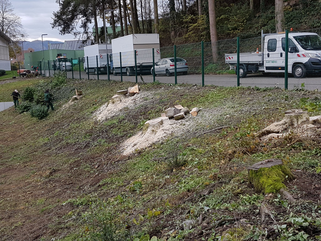 Fotoblog – Vereinsarchiv des SV Haslach